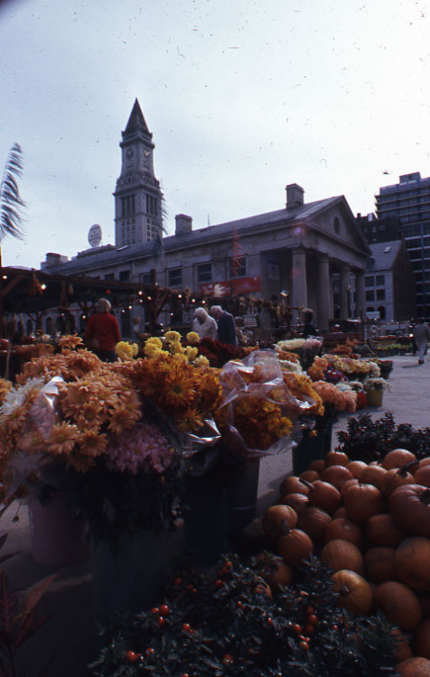 cityofbostonarchives - Fall is the air! Here’s one of our...