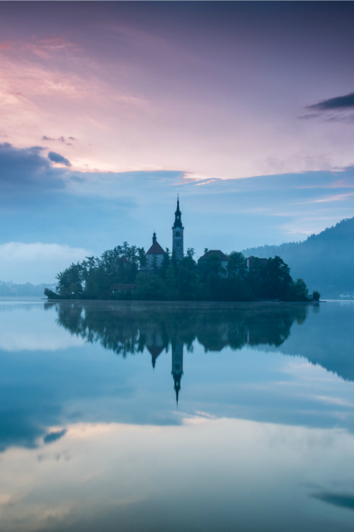 tulipnight - Magical Bled by Brandon Donnelly