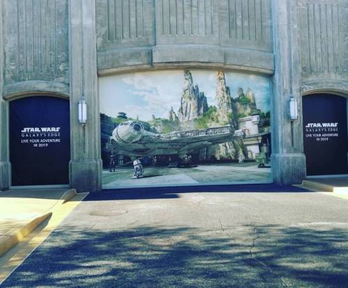 Star wars 2019 (at Disney’s Hollywood Studios)