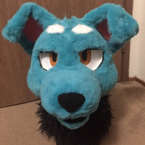Selling my fursuit head created by Natsuro Suits 2 years ago,...