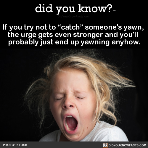 if-you-try-not-to-catch-someones-yawn-the