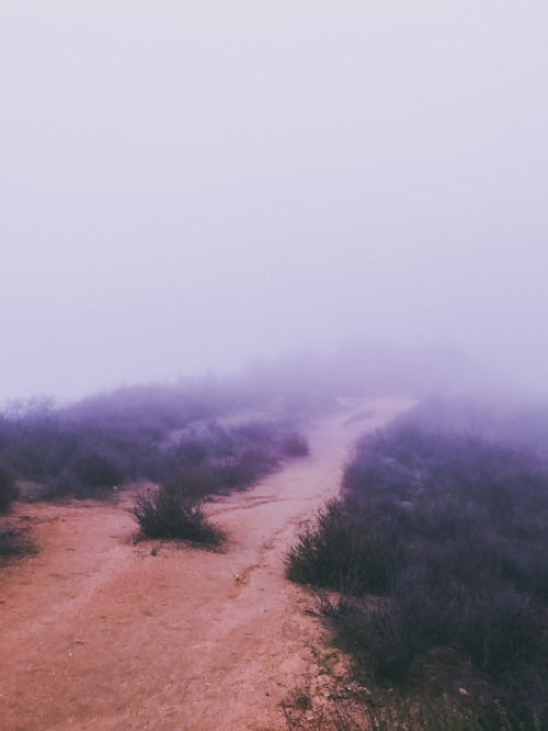 leahberman - Fog sighLa Tuna Canyon Park, Californiainstagram