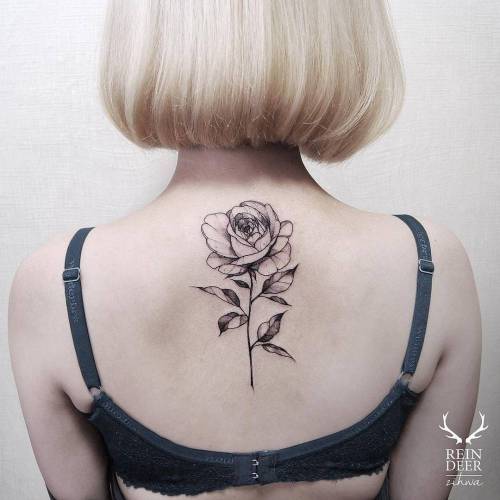 cutelittletattoos:Blackwork/illustrative rose tattoo on the...