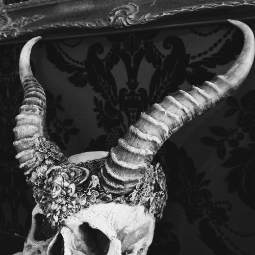 absinthundblut:Succubus Horns by Hysteria Machine