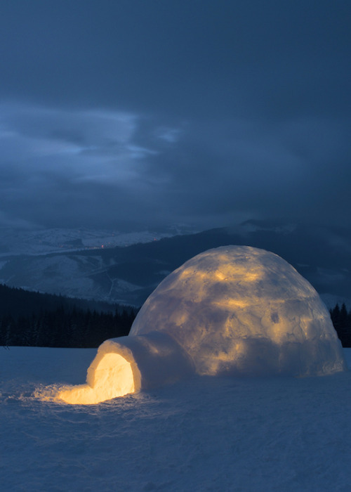 numberonestarlightbeliever - ……………EVEN AN IGLOO CAN BE A COSY...