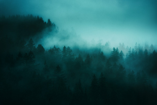 atmobile - Blue Green Forest by AtmosphericsFollow...