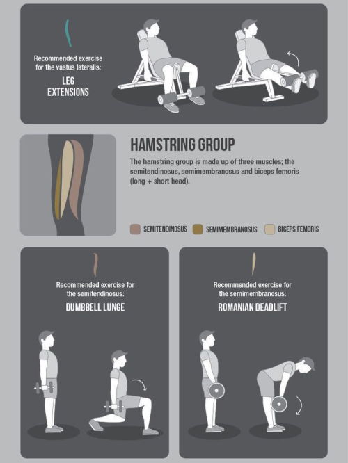 in-pursuit-of-fitness - How to leg dayexercise regularly! follow...