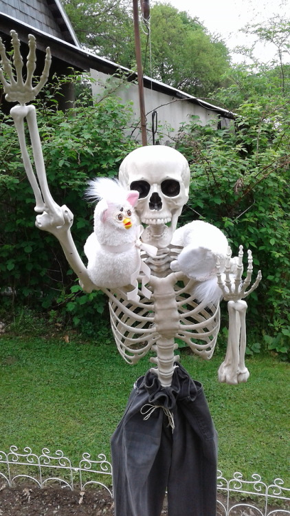 furbyfuzz - LongFurby visits the garden skeleton!!They were...