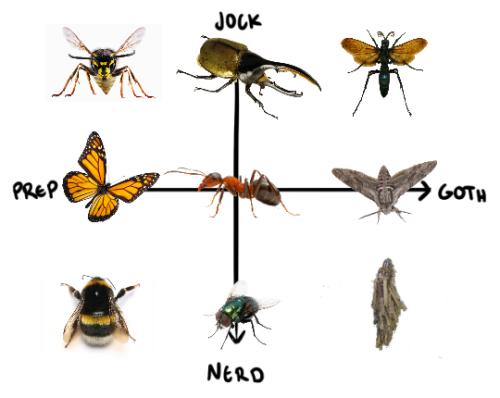 gravityjunior - magiashley - Insect subculture chart.I was...