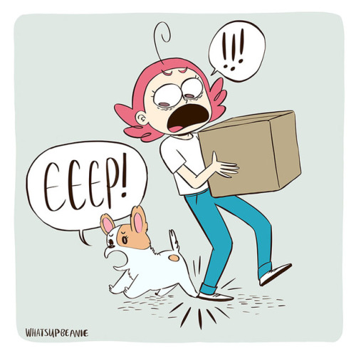 whatsupbeanie - Accidentally hurting a dog breaks my heart. Even...