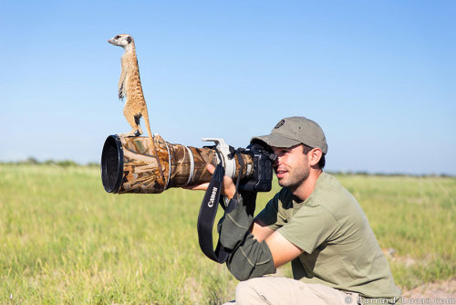 awesome-picz - Reasons Why Being A Nature Photographer Is The...