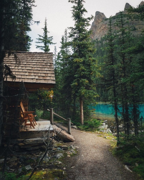 wild-cabins:Jamie Justus Out