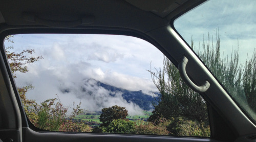 nevver - Never get out of the car, Vanscapes by Alison Turner