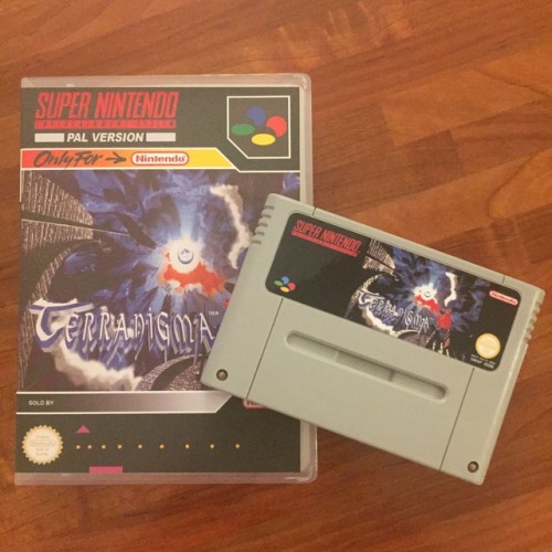 Terranigma (1995)Terranigma is a 1995 action role-playing game...