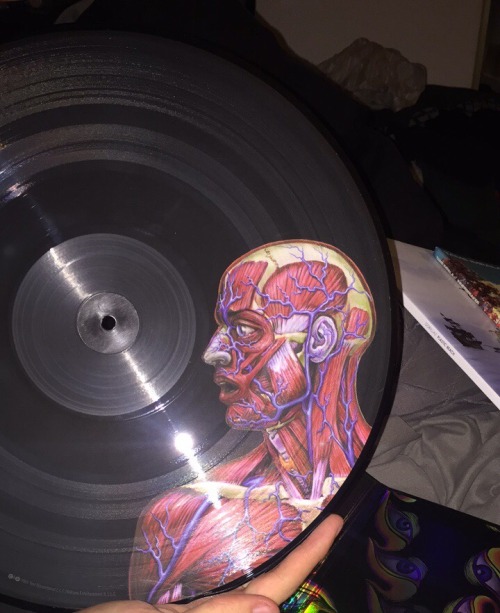 slightly-fading - Tool- Lateralus vinyl special edition