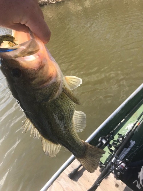 First bass of the year for me!