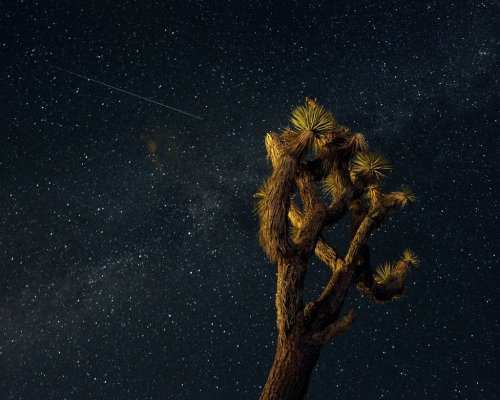 willigula - A meteor over the Mojave Desert by Paul Buck, 2013