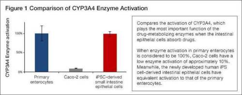 Successful development of intestinal epithelial cells derived...