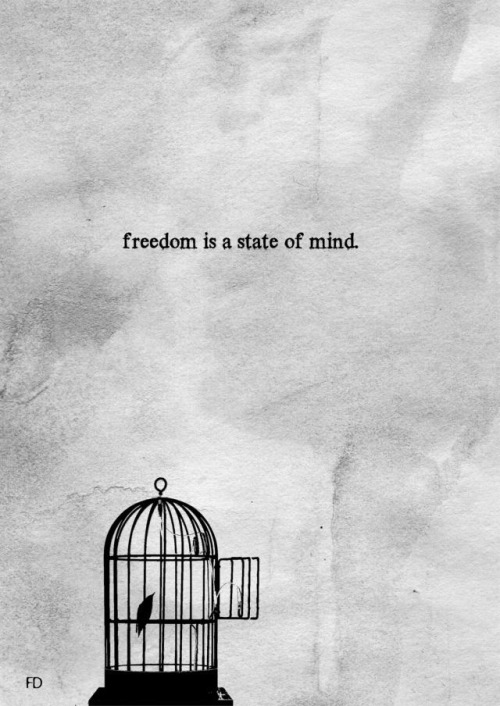 freedom quotes on Tumblr