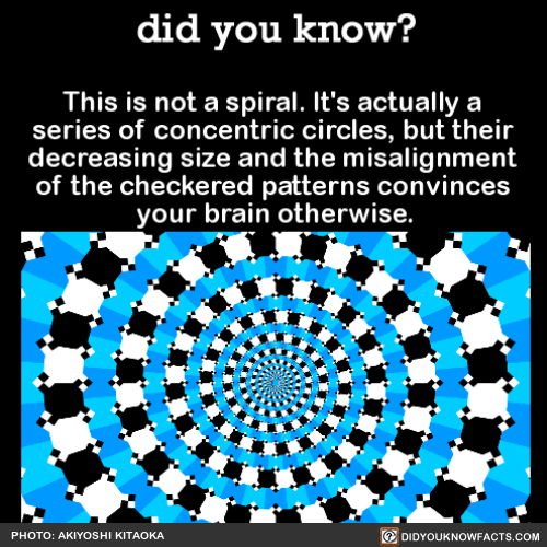 this-is-not-a-spiral-its-actually-a-series-of