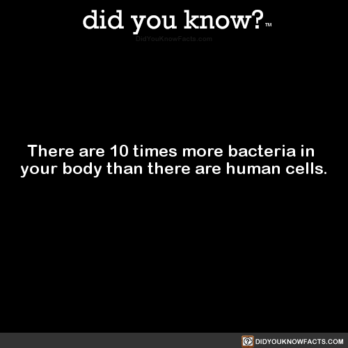 there-are-10-times-more-bacteria-in-your-body