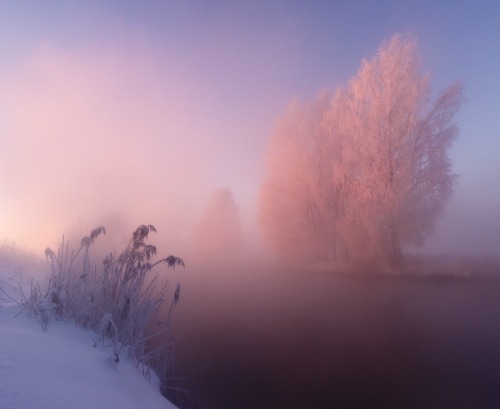 magic-spelldust:Pastel Winter Scenes (photos by Алексей...