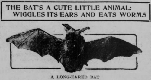 yesterdaysprint - Evansville Press, Indiana, January 14, 1909...