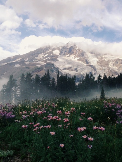 nectarinejam:Mount Rainier National Park, Kevin Russ