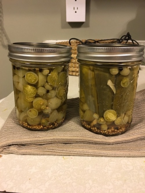 canning is easy??? (it sealed… remains to be seen if it...
