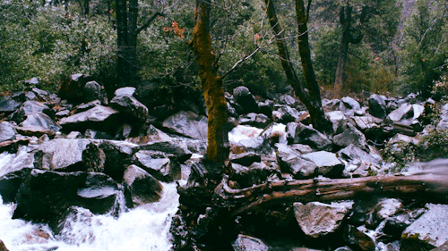 river danceryosemite, californiainstagram