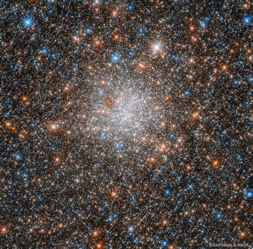 photos-of-space - NGC 1898 - Globular Cluster in the Large...
