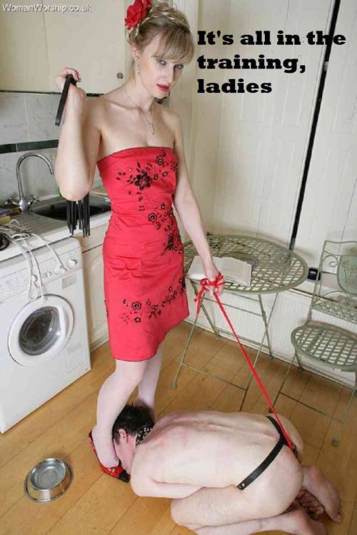 femdomstudentstuff - it’s all in the training she saidthank you...