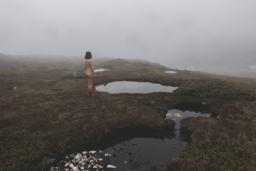 openbooks - “Embracing Lost”Kozy in the fog in Cradle Mountain...