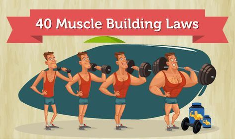 parkour-freerunning-feiyue:40 Muscle Building Laws-you should...