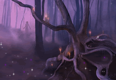 Afbeeldingsresultaat voor magic forest gif