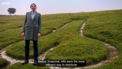 catvincent - thestarrywisdom - deadlightcircus - cunk on britain...