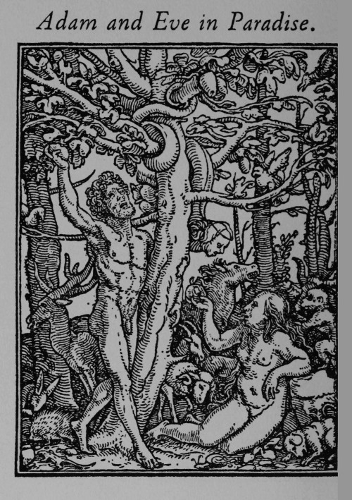 chaosophia218 - Hans Holbein - The Dance of Death, 1526.