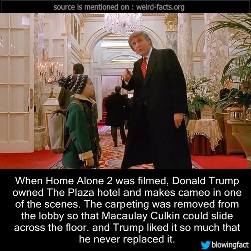 mindblowingfactz - When Home Alone 2 was filmed, Donald Trump...