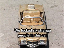 deathistheillusion:“Now, let’s see how long these strange people...