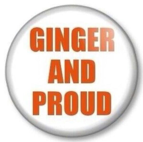 #Gingerpride