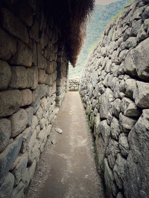 archatlas - Machu Picchu by SamThanks for the submission!