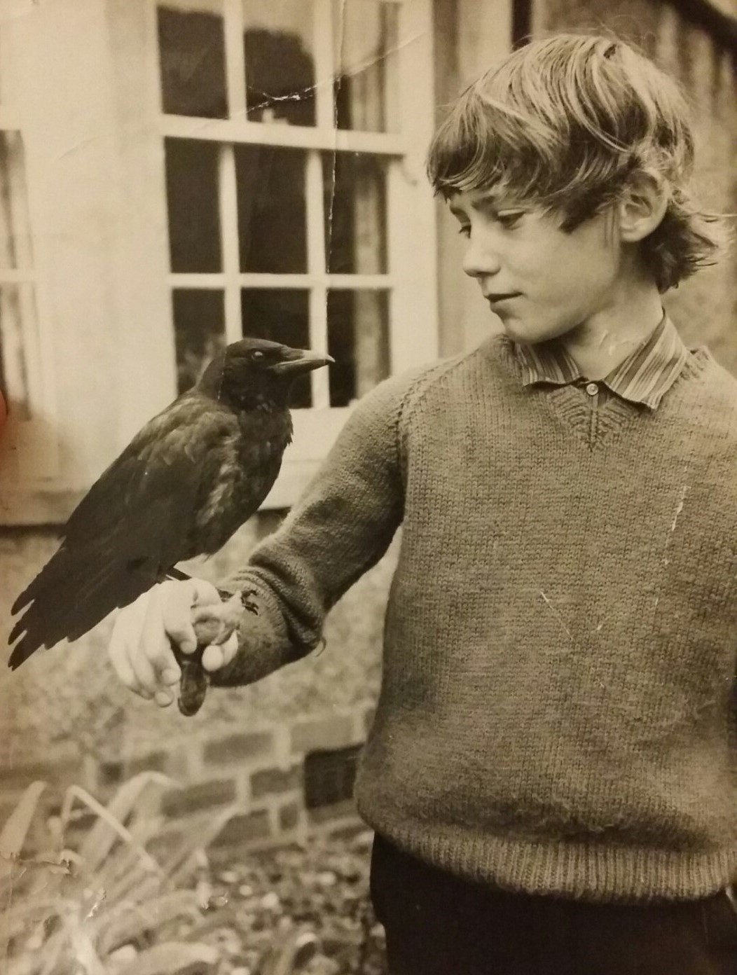 coolkidsofhistory: “ “My dad with his pet crow in the 1970s.” ”