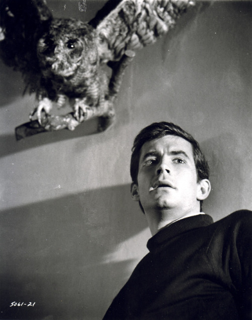 semioticapocalypse - Anthony Perkins in «Psycho» by Alfred...