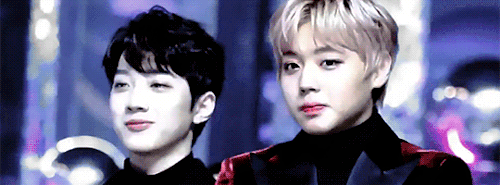 panwink2033 - can they be any more adorable than this? ♡...