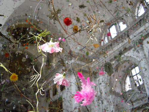 orchid-ink - parasoli - “falling garden” by gerda steiner and jorg...