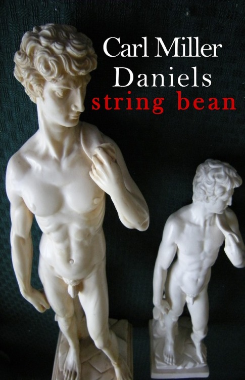 Coming soon from BareBackPress – String Bean – a...