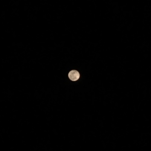 softwaring - the moon is so beautiful tonight