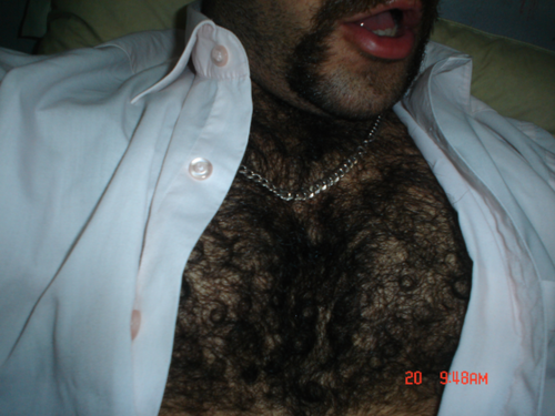 dilftruckers - could run my fingers through that fur for hours!