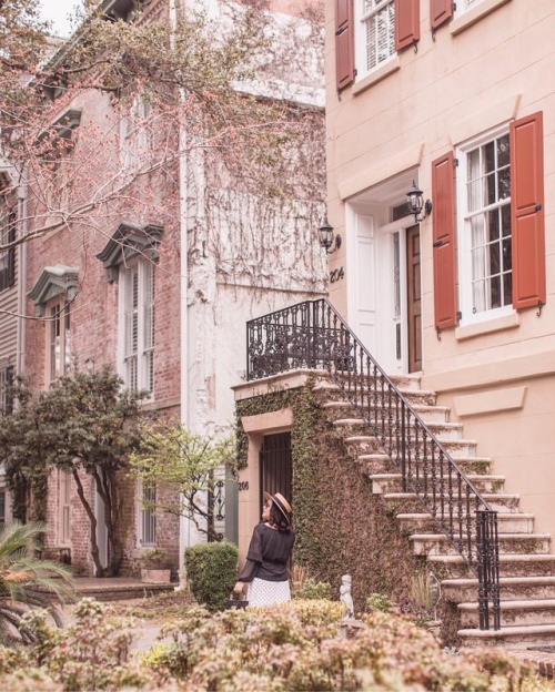historyinhighheels - Savannah strolls 