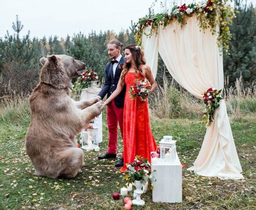 finofilipino - La típica boda rusa en la que te casa un oso de...